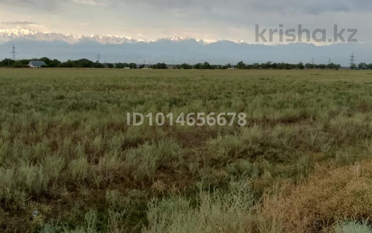 Жер телімі · 1.1 га, Жаңаталап, бағасы: 80 млн ₸ в Алатау, Жанаталап — фото 2