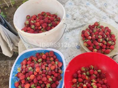 Дача · 3 комнаты · 100 м² · 10 сот., ПМК 29 за 6 млн 〒 в 