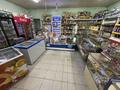 Магазины и бутики · 170 м² за 58 млн 〒 в Уральске — фото 8
