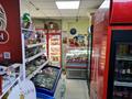 Магазины и бутики · 115 м² за 175 млн ₸ в Астане, Есильский р-н — фото 12