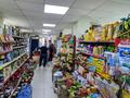 Магазины и бутики · 115 м² за 175 млн ₸ в Астане, Есильский р-н — фото 5