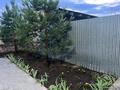 Отдельный дом · 4 комнаты · 145 м² · 1 сот., мкр Кунгей , Турекулова 30 — Турекулова за 65 млн ₸ в Караганде, Казыбек би р-н — фото 28