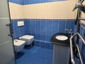 5-бөлмелі пәтер · 173.3 м² · 2/4 қабат, Академика Сатпаева 316, бағасы: 83 млн ₸ в Павлодаре — фото 23