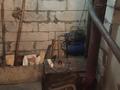 Отдельный дом · 3 комнаты · 72 м² · 10 сот., Момышулы 30 за 19 млн ₸ в Кояндах — фото 3
