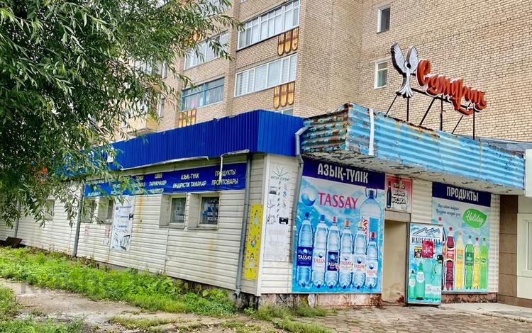 Магазины и бутики • 438.8 м² за 70 млн 〒 в Щучинске — фото 2