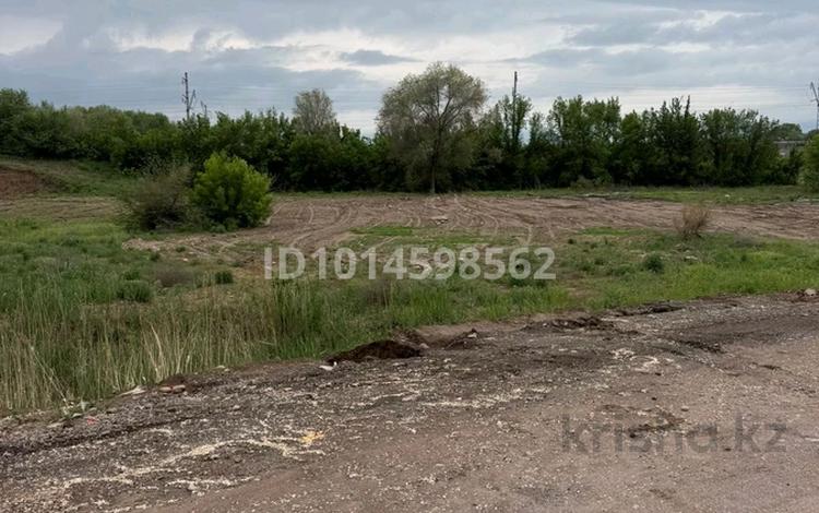 Промбаза · 25 соток, Сорбулакский тракт 11 — Возле моста за 35 млн ₸ в Береке — фото 2