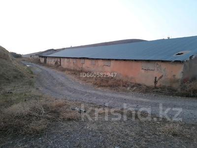 ферма кошара сарай мал кора за 100 000 〒 в Шымкенте, Каратауский р-н