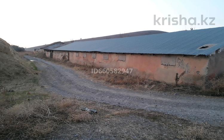 Сельское хозяйство • 200 м² за 100 000 〒 в Шымкенте, Каратауский р-н — фото 2