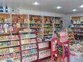 Жеке үй · 4 бөлме · 140 м² · 140 жүзд., Дулыга 9, бағасы: 30 млн ₸ в Актобе, жилой массив Заречный-1 — фото 4