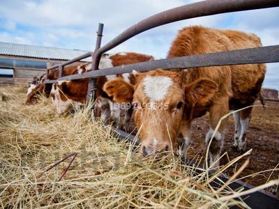 КХ в поселке Аккемер · 20000 м² за 130 млн 〒 в Актобе