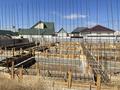 Бани, гостиницы и зоны отдыха · 4290 м² за ~ 250 млн ₸ в Шымкенте, Каратауский р-н — фото 24