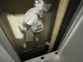 3-бөлмелі пәтер · 70 м² · 5/5 қабат, Бурова 25/2, бағасы: 23.9 млн ₸ в Усть-Каменогорске — фото 18