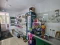 Магазины и бутики · 53 м² за 38 млн ₸ в Астане, Алматы р-н
