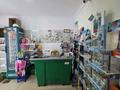Магазины и бутики · 53 м² за 38 млн ₸ в Астане, Алматы р-н — фото 2