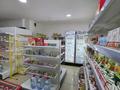 Магазины и бутики · 53 м² за 38 млн ₸ в Астане, Алматы р-н — фото 5