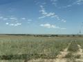 Участок · 33 га, Шубарсу за 150 млн ₸ — фото 14