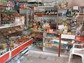Магазины и бутики · 90 м² за 450 000 ₸ в Алматы, Алатауский р-н — фото 5