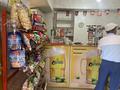 Магазины и бутики, общепит • 400 м² за 85 млн 〒 в Талдыкоргане, 9-й микрорайон — фото 9