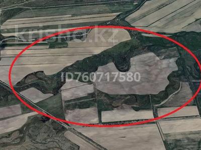 Участок · 115 га, Балпык Би за 230 млн ₸