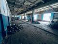 Свободное назначение · 400 м² за 50 млн ₸ в Баянауле — фото 7