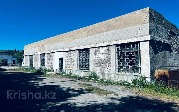 Свободное назначение · 400 м² за 50 млн ₸ в Баянауле — фото 7