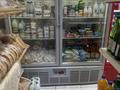 Дүкендер мен бутиктер · 58 м², бағасы: 300 000 ₸ в Астане, Сарайшык р-н — фото 9