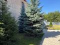 Отдельный дом · 6 комнат · 400 м² · 18 сот., Аубакирова за 90 млн ₸ в Мичуринское — фото 4