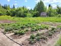 Отдельный дом · 2 комнаты · 40 м² · 50 сот., Переулок Родниковый 8, 26 за 10.5 млн 〒 в Топихе — фото 12
