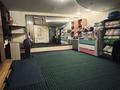 Жеке үй · 4 бөлме · 280 м² · 17 жүзд., Байшешек 34, бағасы: 250 млн ₸ в Алматы, Бостандыкский р-н — фото 7