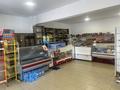 Дүкендер мен бутиктер · 260 м², бағасы: ~ 1.2 млн ₸ в Аксу — фото 12