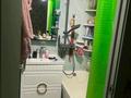 2-бөлмелі пәтер · 56 м² · 5/5 қабат, Рашидова 25 Б — Ращидова, бағасы: 14.5 млн ₸ в Шымкенте — фото 8