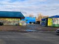 Магазины и бутики, склады · 110 м² за 75 млн 〒 в Талдыкоргане