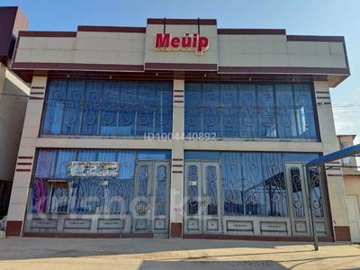 Еркін · 294.8 м², бағасы: 70 млн ₸ в Ленгере