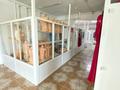 Кеңселер, дүкендер мен бутиктер · 520 м², бағасы: ~ 46.9 млн ₸ в Карабулаке — фото 4