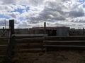 Крестьянское хозяйство с фермой,КРС и землями для сенокоса и пастбища. · 1600 м² за 100 млн ₸ в Павлодаре — фото 71