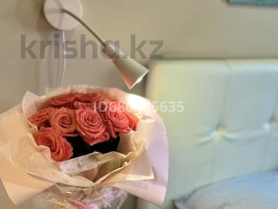 1-бөлмелі пәтер · 30 м² · 5/12 қабат, Шевченко 85, бағасы: 17 000 ₸ в Алматы, Алмалинский р-н
