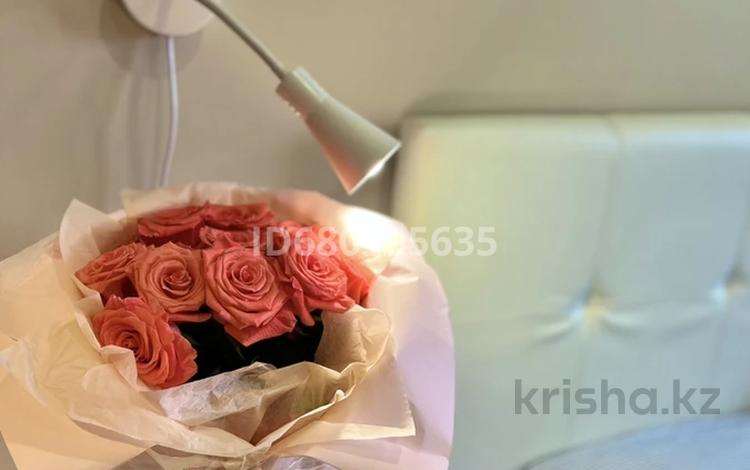 1-бөлмелі пәтер · 30 м² · 5/12 қабат, Шевченко 85, бағасы: 17 000 ₸ в Алматы, Алмалинский р-н — фото 2