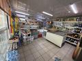 Магазины и бутики · 50 м² за 32 млн ₸ в Уральске — фото 4