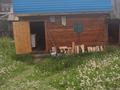 Отдельный дом · 4 комнаты · 58 м² · 15 сот., Бухтырма 26 — С.Берель. Четырех комнатный дом, летняя кухня, новая баня из бруса .Бо за 40 млн ₸ в  — фото 17