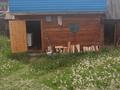 Отдельный дом · 4 комнаты · 58 м² · 15 сот., Бухтырма 26 — С.Берель. Четырех комнатный дом, летняя кухня, новая баня из бруса .Бо за 40 млн ₸ в  — фото 18
