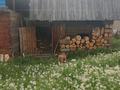 Отдельный дом · 4 комнаты · 58 м² · 15 сот., Бухтырма 26 — С.Берель. Четырех комнатный дом, летняя кухня, новая баня из бруса .Бо за 40 млн ₸ в  — фото 8
