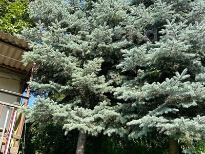 Дача · 3 комнаты · 56 м² · 11 сот., мкр Тастыбулак, Цветная металлургия 9 — Выше остановки айболит за 17 млн ₸ в Алматы, Наурызбайский р-н