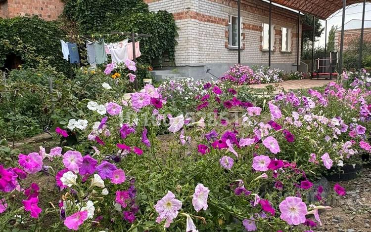 Отдельный дом · 5 комнат · 250 м² · 15 сот., Хиуаз Доспанова — Пересечения улиц Абая и Хиуаз Доспановой за 50 млн ₸ в Аксу — фото 2
