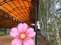 Отдельный дом · 5 комнат · 250 м² · 15 сот., Хиуаз Доспанова — Пересечения улиц Абая и Хиуаз Доспановой за 50 млн ₸ в Аксу — фото 28