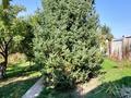 Дача · 2 комнаты · 40 м² · 6 сот., мкр Ерменсай за 38 млн ₸ в Алматы, Бостандыкский р-н — фото 9