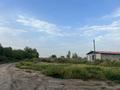 Участок · 69.29 га, Гульдалинский с.о — Кайнар за 339 млн ₸ в Алматинской обл.