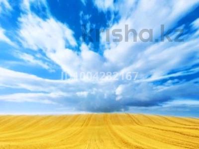 Жер телімі · 20 сотық, Центральная 56, бағасы: 20 млн ₸ в Конаеве