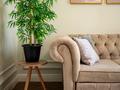 2-бөлмелі пәтер · 70 м² · 4/19 қабат, Сейфуллина 574/1 к3, бағасы: 38 000 ₸ в Алматы, Бостандыкский р-н — фото 32