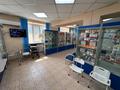 Свободное назначение · 456 м² за 160 млн ₸ в Усть-Каменогорске — фото 47