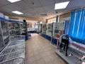Свободное назначение · 456 м² за 160 млн ₸ в Усть-Каменогорске — фото 52